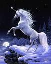THE PUNK HORSE